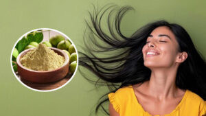 Read more about the article Ayurvedic Hair Care: Unlock the Secrets to Healthy Hair Naturally