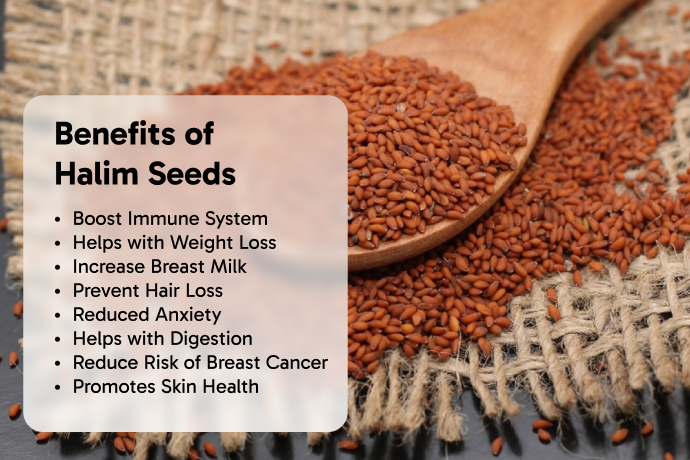 what are the benefits of halim seeds|fitgood360.com