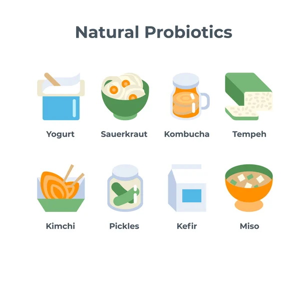 best probiotic foods| fitgood360.com