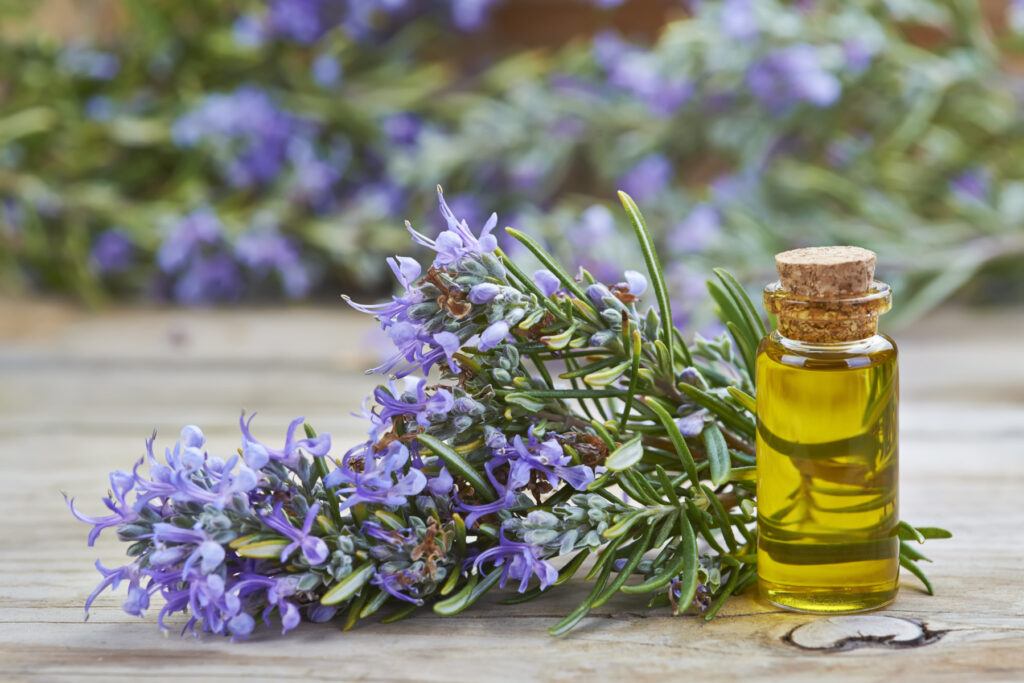 rosemary oil for frizzy hair| fitgood360.com